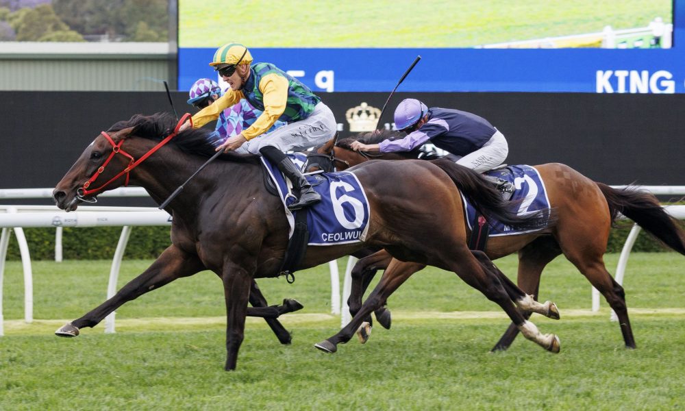 米内罗是否 米内罗是否