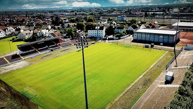 穩固的表現 穩固的表現