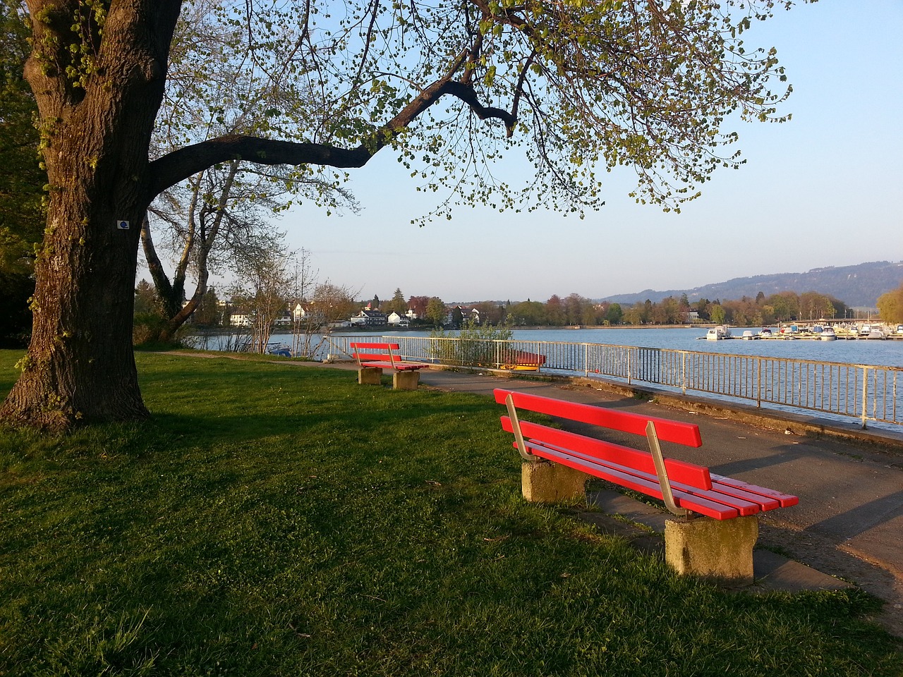 韩国政治的 韩国政治的