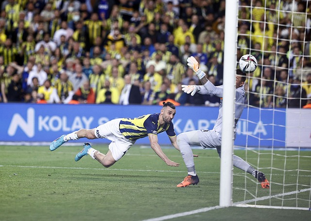 队的潜力 队的潜力