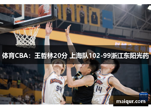 体育CBA：王哲林20分 上海队102-99浙江东阳光药